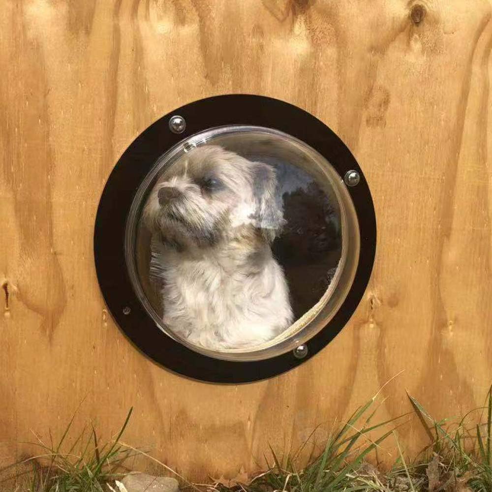 Dog looking through bubble window in fence